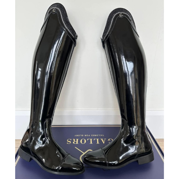 Gallors Elegance Novel