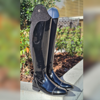 Gallors Elegance Novel