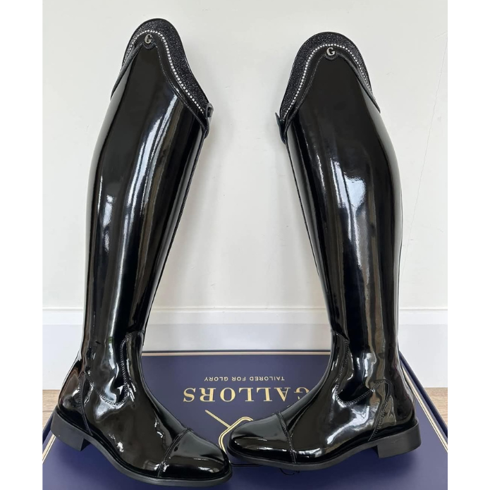 Gallors Elegance Novel