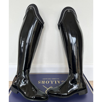 Gallors Elegance Novel