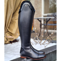 Gallors Elegance Novel