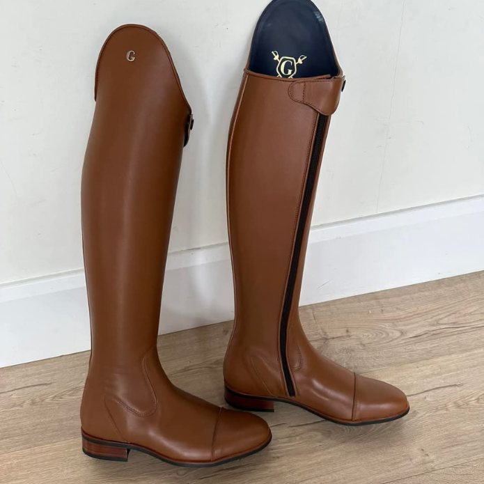 Gallors Elegance Novel