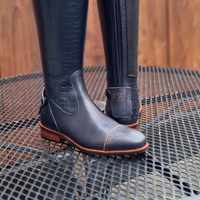 Gallors Elegance Novel